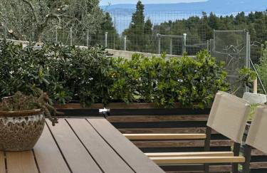 Alexandra's garden - Photo 66