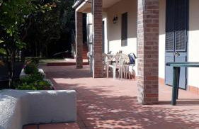 Carrubo - Giardino in città - Foto 9