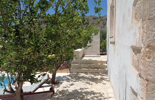 PALACE Mountain view - Foto 15