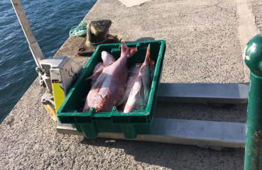 Villa Palace Fernandes with Jacuzzi - Photo 52