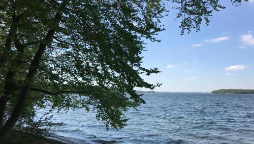 Raben Steinfeld Forststrasse Am Residence-Park - Foto 5