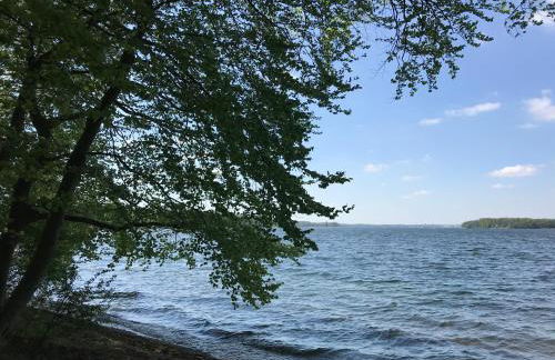 Raben Steinfeld Forststrasse Am Residence-Park - Foto 5