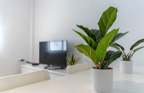 Hauzify I Apartament Pedrera - Foto 6