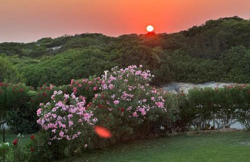 Dimora Mimosa - Baia Delle Mimose - Foto 31