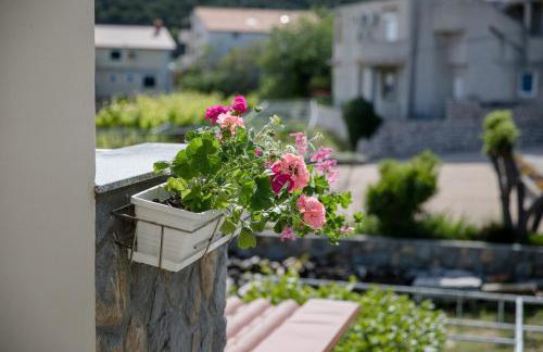 Apartmani Ana & Milo - Foto 11