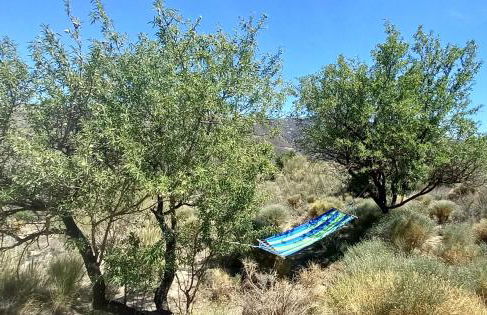 Cortijo La Vista - Foto 27