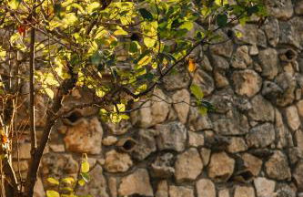 Ilyessa Cottages - Foto 52