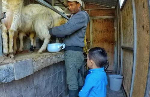 Agriturismo San Cataldo Farm Home - Foto 57