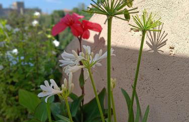 Charming apartment in Cannes - Foto 15
