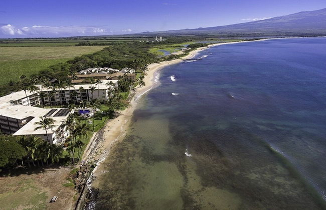 Maalaea Banyans 217 1 Bedroom Condo - Photo 35