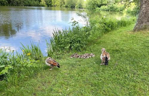 Haus Ketterer - Foto 36