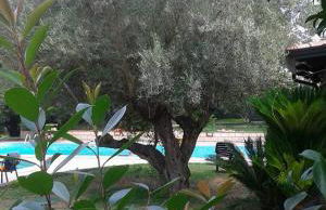 Agriturismo La Colombaia - Foto 41