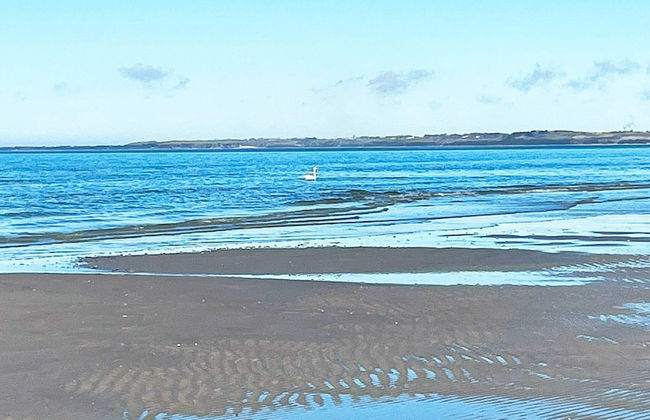 8 Person Holiday Home in Vig - Foto 30