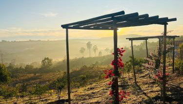 Pousada Dona Terezinha - Foto 2, Garden