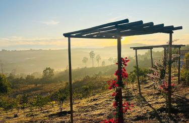 Pousada Dona Terezinha - Foto 2