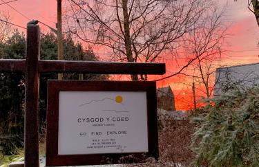 Cysgod Bach & Caban y Saer Cottages - Foto 32