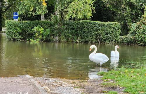 Swan Cottage 2-Bedroom-Netflix-Parking-Nature-Canal - Photo 40