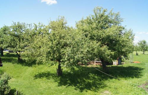 Ferienwohnung im Obstgarten - Foto 9