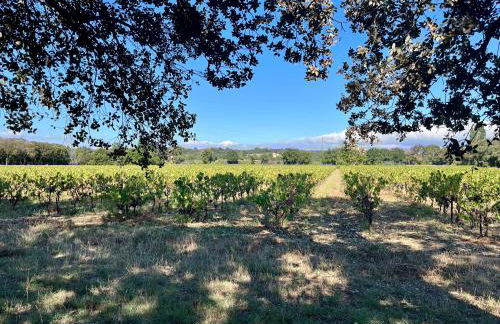 Maisonnette avec petite forêt - Foto 19