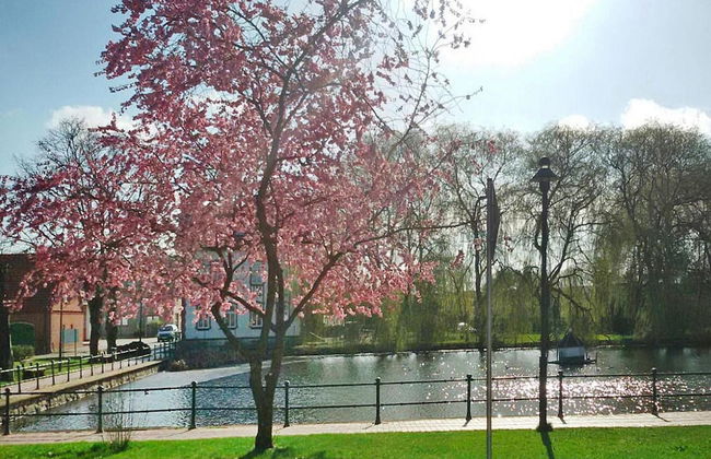 Ferienhaus in Neukalen - Foto 19