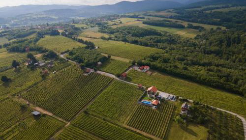 Vineyard Vila 01 by GREEN Croatia - Foto 3