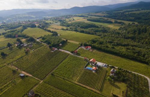 Vineyard Vila 01 by GREEN Croatia - Photo 3