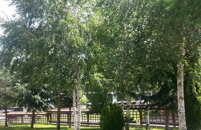 Winslow Infinity & Spa - Photo 39