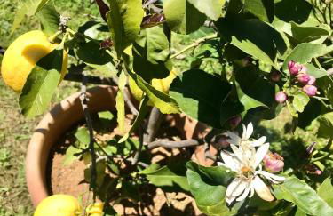 The Colours Of Chianti - Foto 12