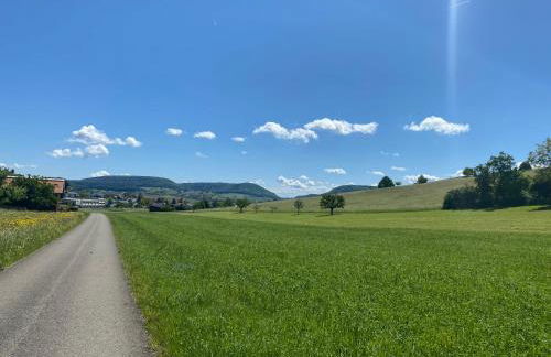 Cozy home in South-germany - Foto 25