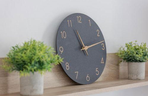 Kalina Suites - Apartment am Rhein, Nähe BASF, AbbVie, Uni MA - Foto 20