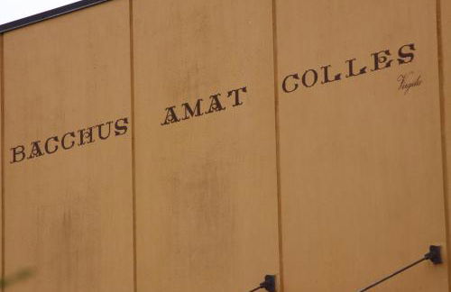 Agriturismo Gaggioli Borgo Delle Vigne - Foto 47