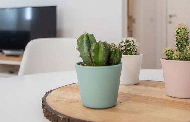 Apartamento La Goleta - Foto 30