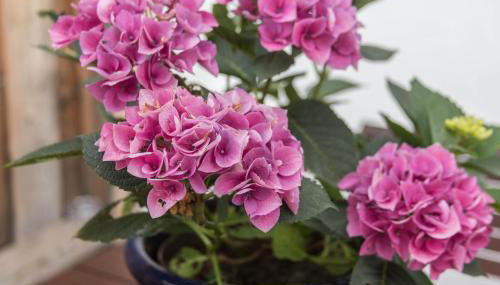 Zuhaus am See - Foto 4