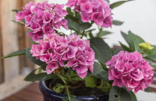 Zuhaus am See - Foto 4