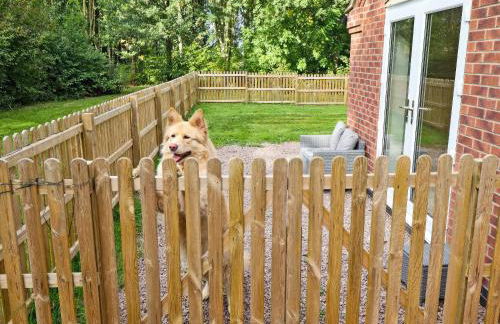 Paws In The Pines - Foto 19