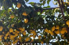 Casa Ester - Foto 19