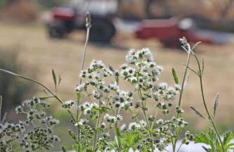 Pine Cottage, Syros Island - Foto 47