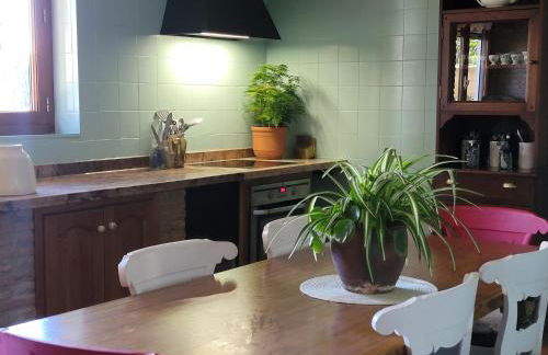 El jardín de la abuela - Foto 79