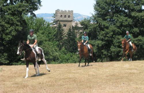 Castello di Santa Cristina - Foto 27