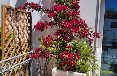 Cala Paradiso - Foto 32