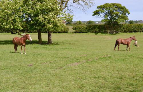 The Pavillion - Foto 28