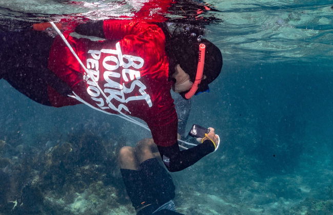 Snorkel en Isla Culebra - Foto 1