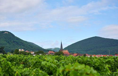 Weingut Stefan Meyer - Foto 10