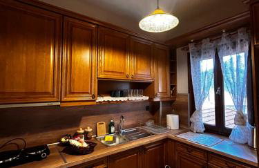 MetsoVillas στο κέντρο του Μετσόβου - Photo 43