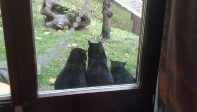 Domek nad jeziorem - Foto 2