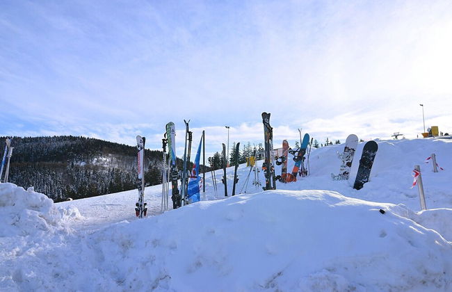 Modern Apartment in Sellinghausen With Terrace - Foto 33