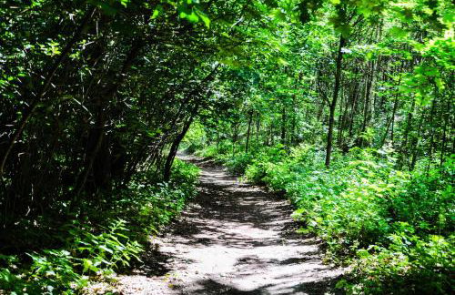 Modrzewiowe Wzgorze - Foto 35