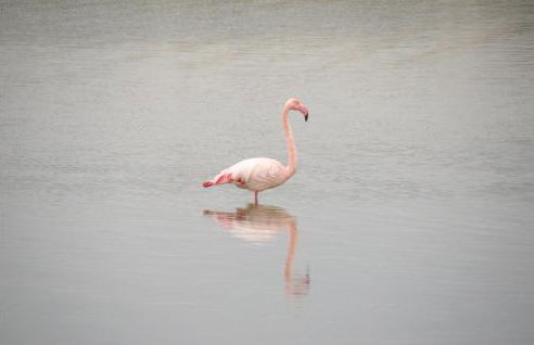 Cozy Home In Calvisson With Kitchen - Photo 44