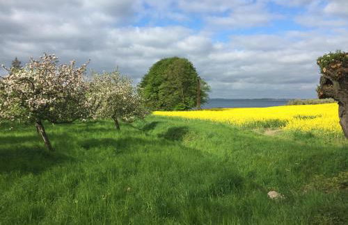 Landhaus am Goor - Foto 16