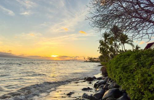 Puamana 30-2 - Foto 54